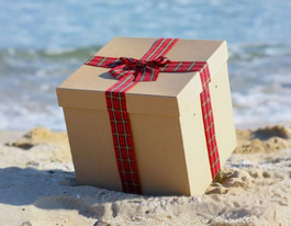 (gift)