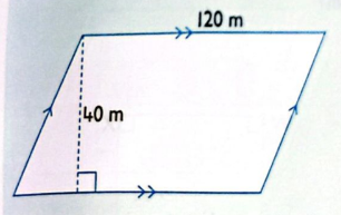 Parallelogram